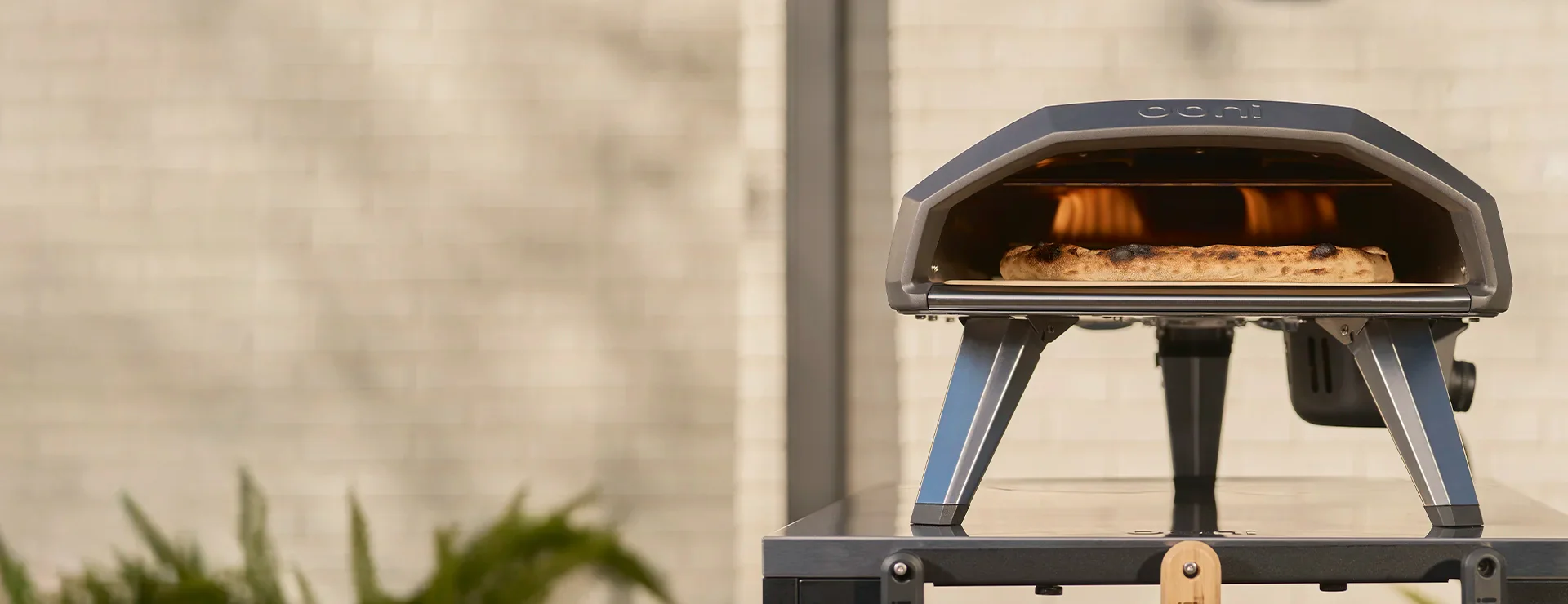 Master the Art of Pizza
